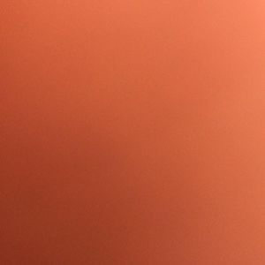 Meet your Posher, Blake